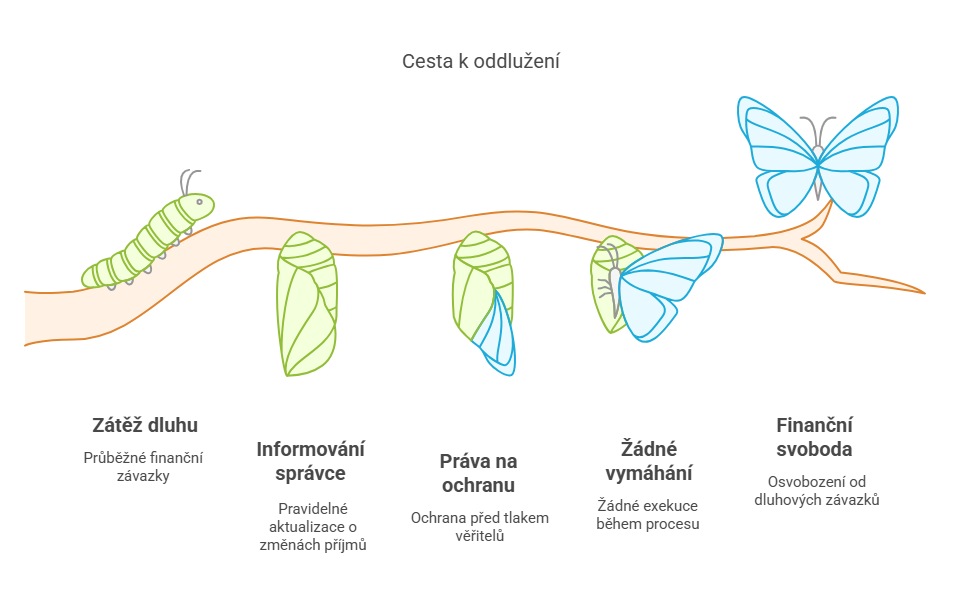 Oddlužení fyzických osob – Průvodce krok za krokem